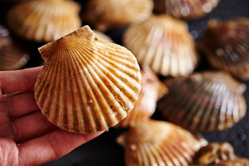 Scallops on hand 