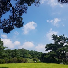 Obraz na płótnie Canvas Jeju Island 풍경