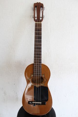 Fototapeta premium requinto