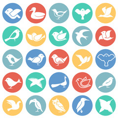 Bird icons set on color circles white background for graphic and web design, Modern simple vector sign. Internet concept. Trendy symbol for website design web button or mobile app