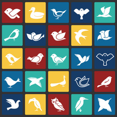Bird icons set on color squares background for graphic and web design, Modern simple vector sign. Internet concept. Trendy symbol for website design web button or mobile app