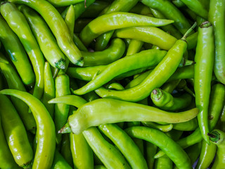 Fresh green chili. colorful background texture.