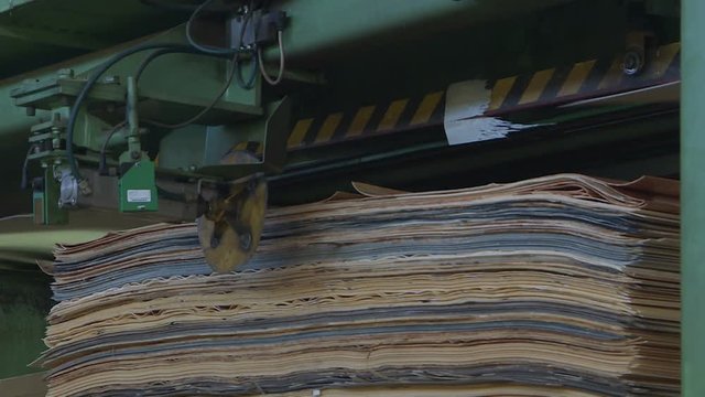 Shop for the production of plywood. Processing of business wood. Woodworking industry
