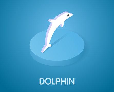 Dolphin isometric icon. Vector illustration. 3d concept