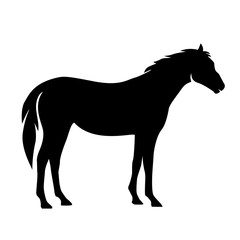 creative illustration of a horse vector silhouette