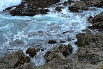 Pacific Ocean along the 17 miles road. California, USA