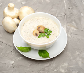 Champignon mushroom cream soup in bowl on gray background.  