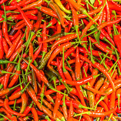 Red chili for background.