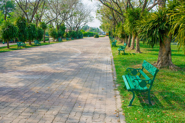 Green metal bench place on green grass nearly walkway or footpath in public park. (Selective focus)