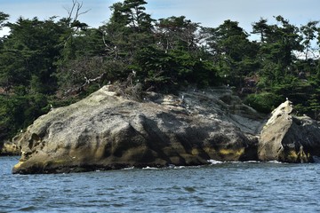 松島