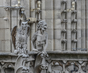 Fototapeta na wymiar Chimera (Gargoyle) of Notre Dame de Paris