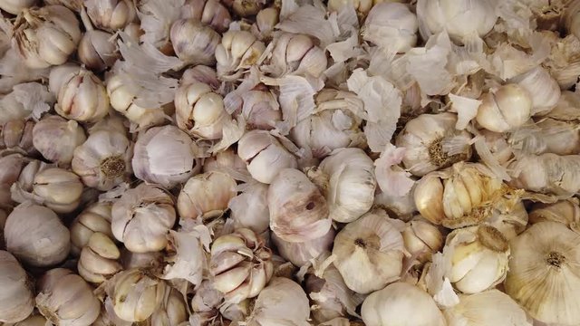 White garlic pile texture. Fresh garlic on market table closeup photo.