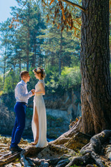 A couple of newlyweds stand in the wild nature and gaze at each other. In the background, a big tree and huge wooden roots