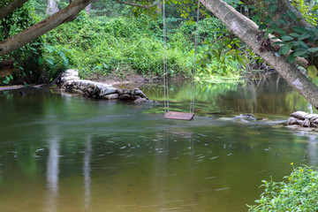 wood swing on river in nature at thailand