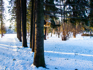 snow-covered Park in winter