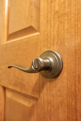 Bronze handle on wooden door