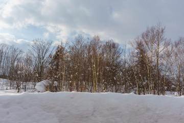 Beautiful Winter Landscape with powder snow on a road in, Hokkaido Japan