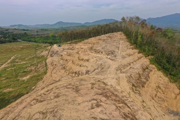 Deforestation and logging 