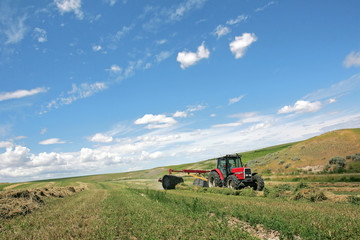Agriculture - Alfalfa