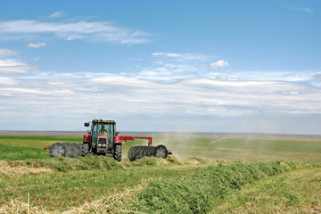 Agriculture - Alfalfa