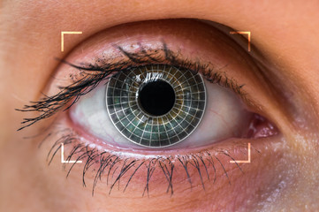 Naklejka premium Skanowanie i rozpoznawanie oczu - koncepcja identyfikacji biometrycznej