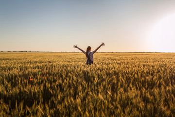 landscape, a huge wheat field in the middle of summer, a girl with long hair opened her arms to sunset