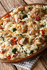 Italian pasta orzo with grilled chicken, dried tomatoes, spinach and cheese close-up. vertical