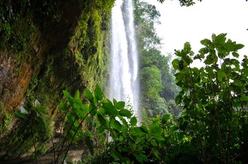 Fototapeta premium Waterfalls In The Jungle of Chiapas, Mexico