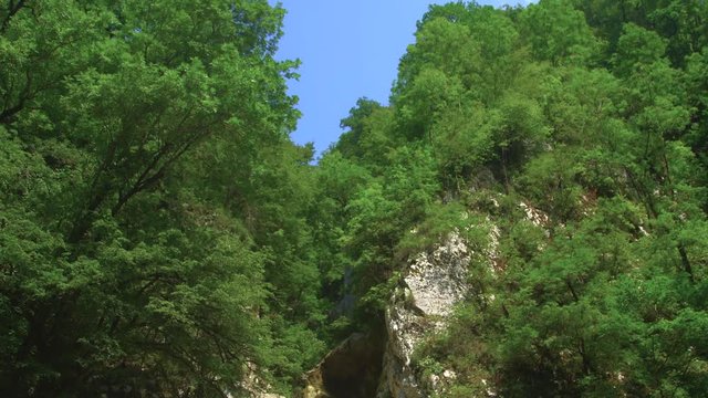 Upwards Panning Shot Of A Beatiful Canyon In Sochi/Russia