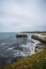 Green grass with flowers in front of a rock arch full of birds on it, waves in the ocean, coast line with sand and rocks