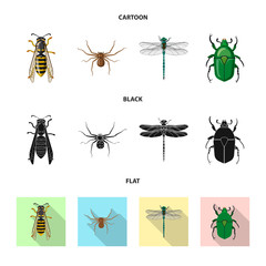 Vector illustration of insect and fly symbol. Collection of insect and element stock vector illustration.