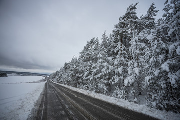Winterliche Landschaft