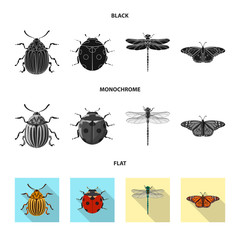 Vector illustration of insect and fly symbol. Collection of insect and element vector icon for stock.