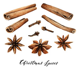 Watercolor elements. Christmas spices, cinnamon, star anise, cloves, handmade