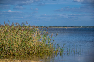 Etang de Cazaux, Landes, Nouvelle-Aquitaine, France.