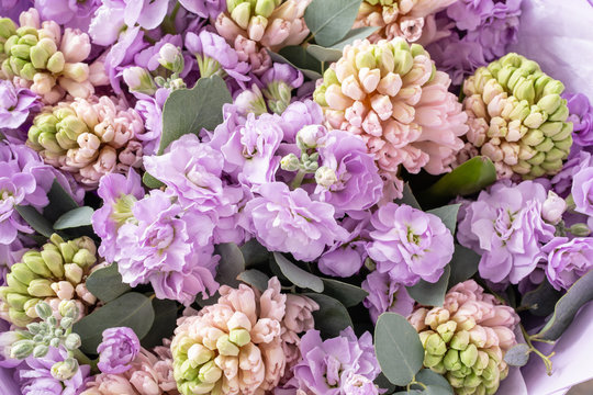 Bouquets of pink hyacinths and matthiola of lilac color in vase on wooden table. Spring flowers from Dutch gardener. Concept of a florist in a flower shop. Wallpaper.