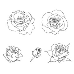 A set of roses. Black line art isolated on white.