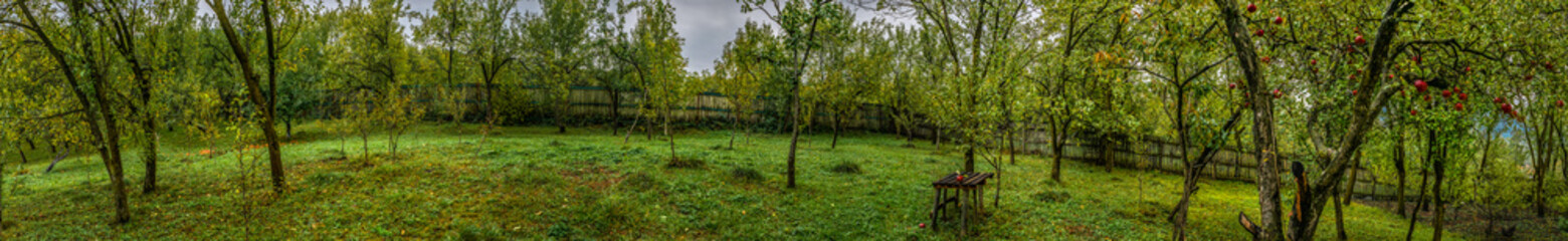 Apple orchard at cloudy day, Valea Plopului village, Romania, panoramic view.