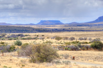 KAROO LANDSCAPES, eastern Cape, South Africa