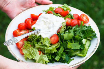 Plate with fresh vegetable salad in woman hands