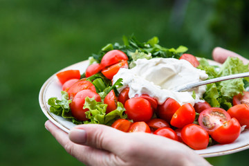 Plate with fresh vegetable salad in woman hands