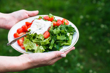 Plate with fresh vegetable salad in woman hands
