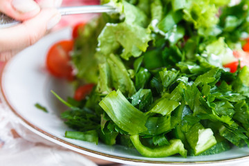 Plate with fresh vegetable salad in woman hands