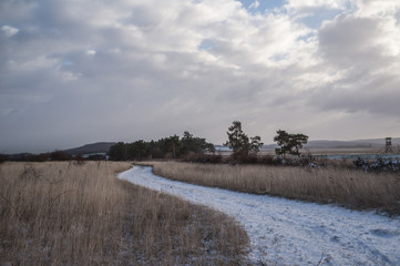 Winterliche Landschaft