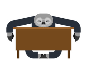 Sloth sleeping at work. lazybones at table. animal Cartoon businessman. Vector illustration