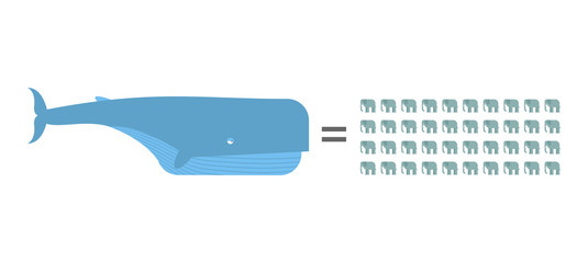Weight Blue whale is 40 elephants Infographics Animal