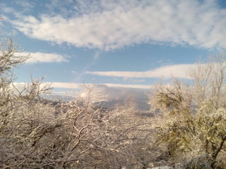 Winter forest in the mountainous region of the Caucasus.