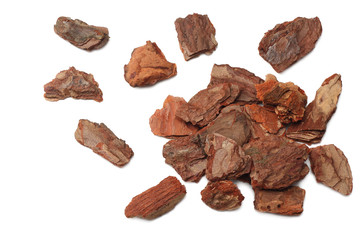 Tree bark pieces isolated on white background. top view
