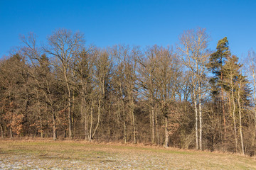 Obraz premium Krajobraz w zimie z niewielkim śniegiem