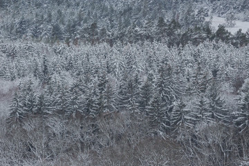 Winterliche Landschaft